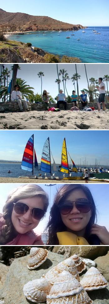 calendar-events-350x975