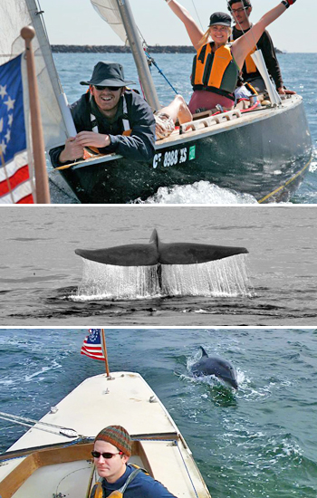 group-sail-three-350x550